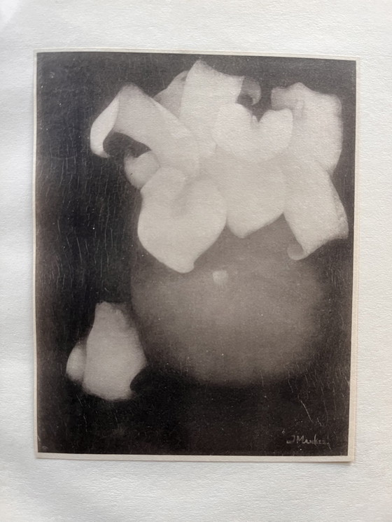 Image 1 of Jan Mankes 1889-1920 / Zeldzaam Oeuvre Boek 1927 (Gelimiteerd Nr. 11 Van 100)