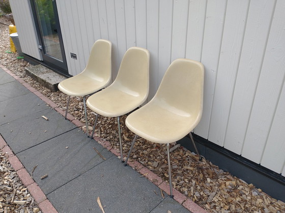 Image 1 of 3X Eames Dsx Fiberglass