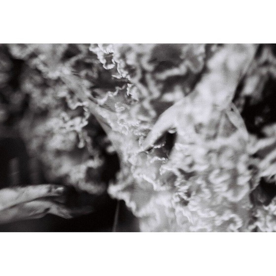 Image 1 of Vintage zilveren schilderij natural movements 07 door Meïdhy Bichon, 2019