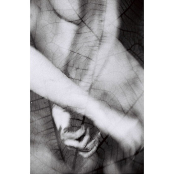 Image 1 of Vintage schilderij Natural Movements 13 door Meïdhy Bichon, 2019