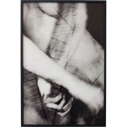 Vintage schilderij Natural Movements 13 door Meïdhy Bichon, 2019