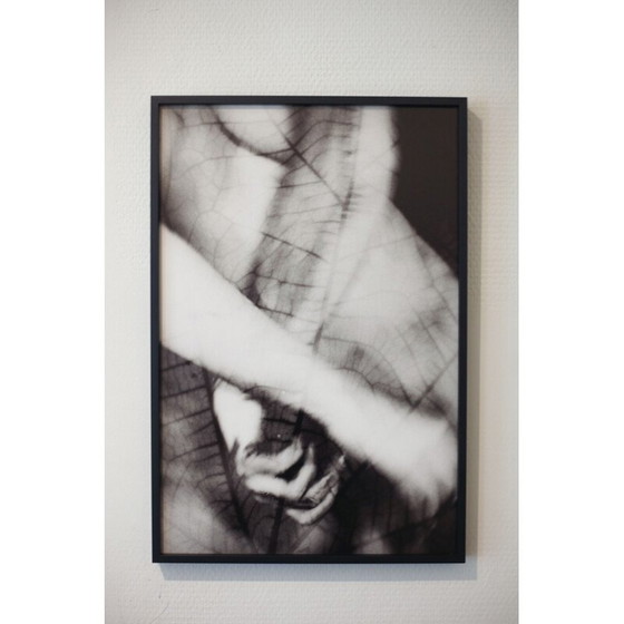 Image 1 of Vintage schilderij Natural Movements 13 door Meïdhy Bichon, 2019