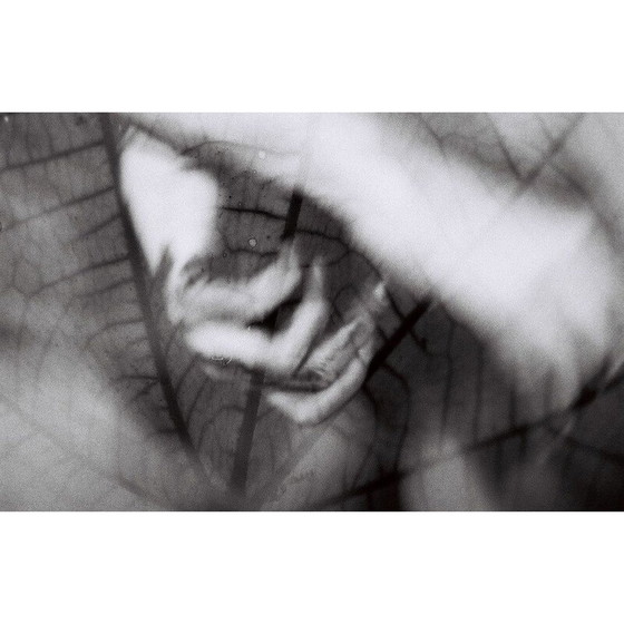 Image 1 of Vintage schilderij Natural Movements 13 door Meïdhy Bichon, 2019