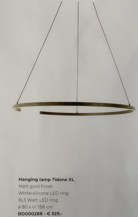 Image 1 of Bodilson Ringlux Hanglamp Goud