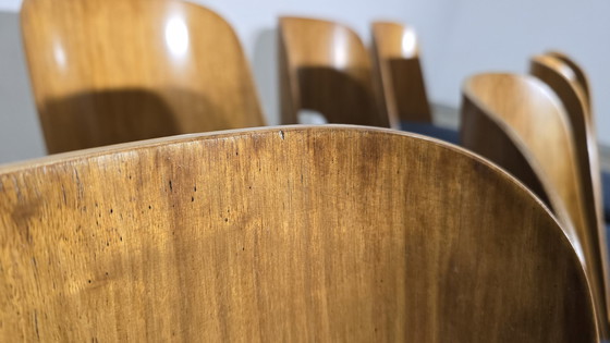 Image 1 of Eetkamerstoelen van Oswald Haerdtl, 1950, set van 8