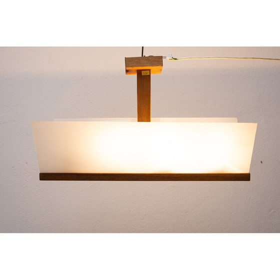 Image 1 of Vintage glazen en beuken hanglamp voor Krásná Jizba, Tsjecho-Slowakije 1950