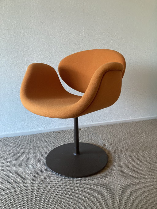 Little Tulip Chair - Pierre Paulin