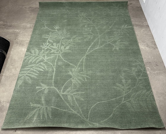 Image 1 of Wollen Vloerkleed Brink en Campman Mineral Green 170 x 240