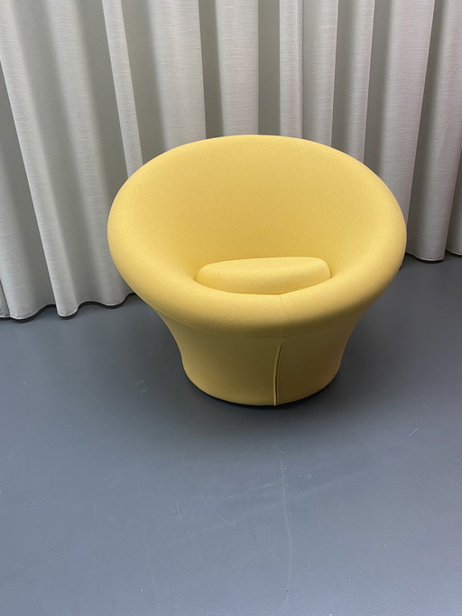 Artifort Mushroom fauteuil