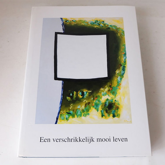 Image 1 of Roger Raveel - Een verschrikkelijk mooi leven. 2 boeken in cassette.