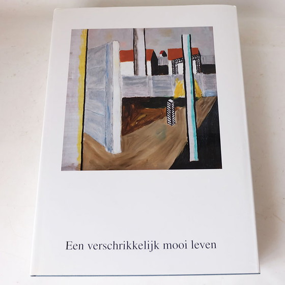 Image 1 of Roger Raveel - Een verschrikkelijk mooi leven. 2 boeken in cassette.