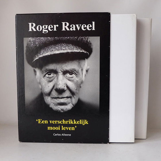 Image 1 of Roger Raveel - Een verschrikkelijk mooi leven. 2 boeken in cassette.