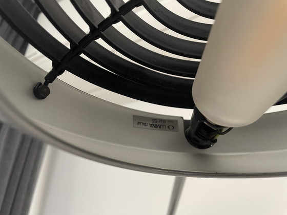 Image 1 of Lumina Elle 55 Wandlamp