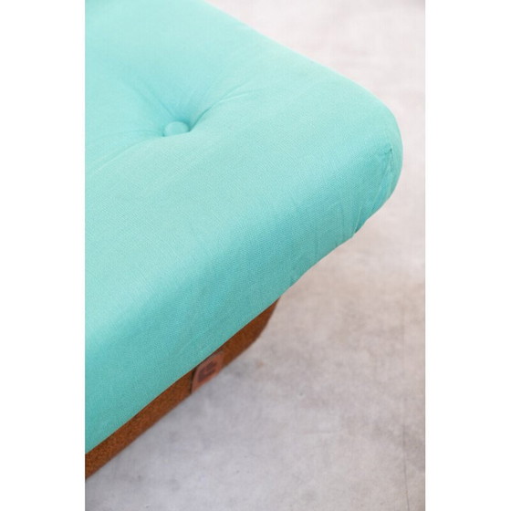 Image 1 of Paar vintage glasvezel fauteuils voor Lev en Lev, 1970