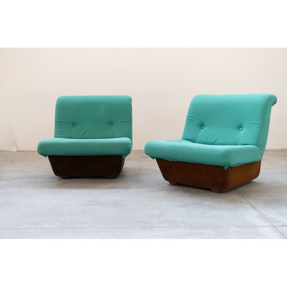 Image 1 of Paar vintage glasvezel fauteuils voor Lev en Lev, 1970