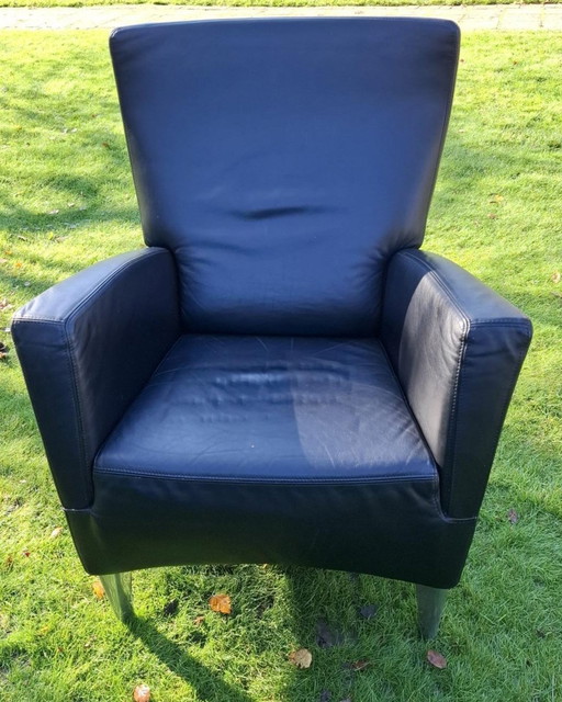 De Sede Fauteuil, Leder