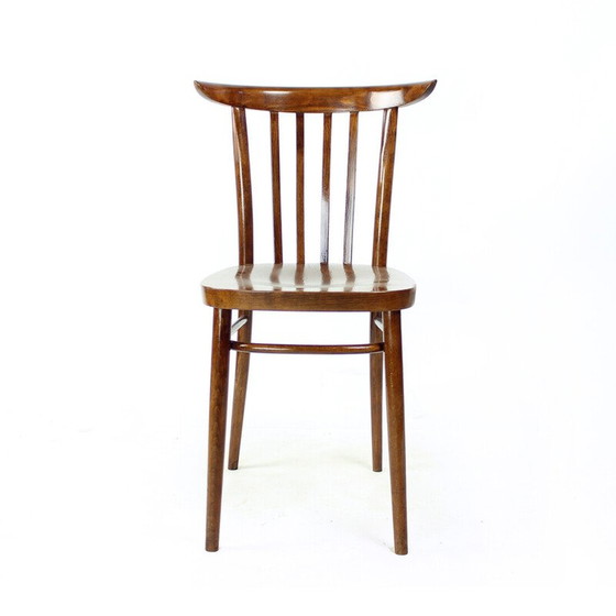 Image 1 of Vintage bistrostoelen in eikenhout en multiplex voor Tatra, Tsjecho-Slowakije 1960