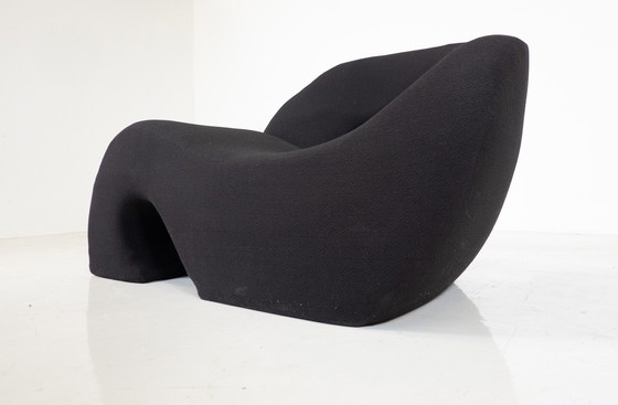 Image 1 of Sormani Sculpturale Sess Lounge Chair van Nani Prina