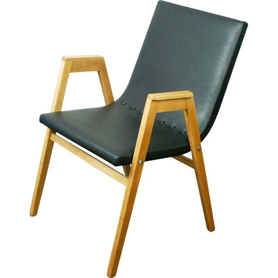 Image 1 of Vintage fauteuil van Roland Rainer, Oostenrijk