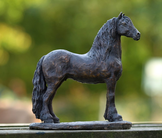 Image 1 of Nanouk Weijnen  Bronzen beeld Fries paard