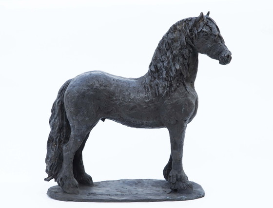 Image 1 of Nanouk Weijnen  Bronzen beeld Fries paard