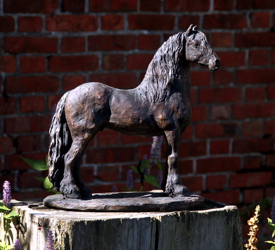 Image 1 of Nanouk Weijnen  Bronzen beeld Fries paard