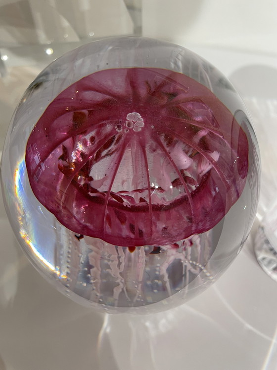 Image 1 of Unique Glasobject “ Jellyfish “ Van Petr Kuchta 