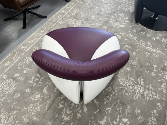 Image 1 of Leolux Pallone Fauteuil paars wit leer 