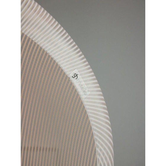 Image 1 of Vintage Cabras hanglamp van Luigi Massoni voor Guzzini, 1960