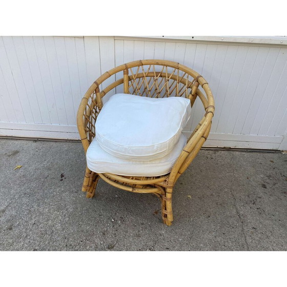 Image 1 of Vintage mandfauteuil van rotan en kussen, 1970