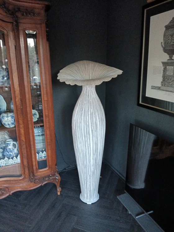 Image 1 of Morning Glory