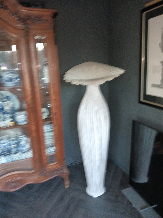 Image 1 of Morning Glory