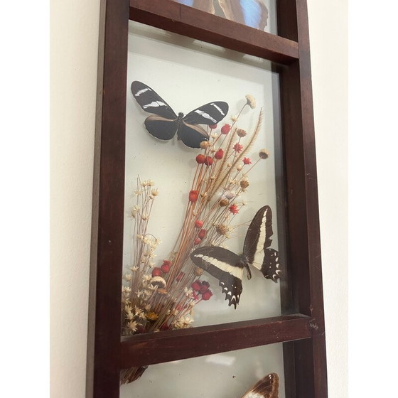 Image 1 of Vintage glazen frame met genaturaliseerde vlinders en bloemen, 1970
