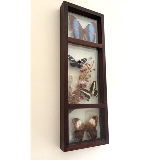 Image 1 of Vintage glazen frame met genaturaliseerde vlinders en bloemen, 1970