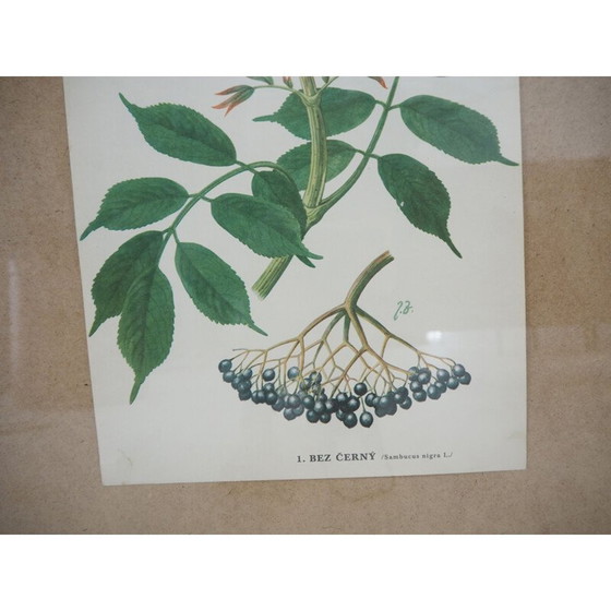 Image 1 of Vintage schoolposter, Tsjecho-Slowakije 1960