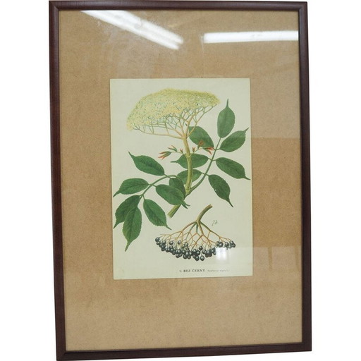 Vintage schoolposter, Tsjecho-Slowakije 1960