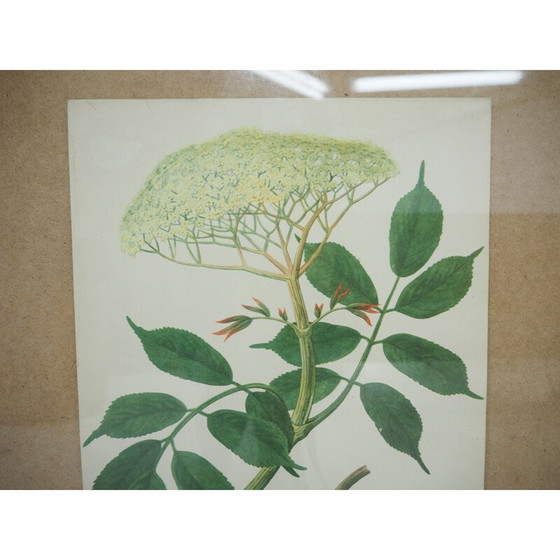 Image 1 of Vintage schoolposter, Tsjecho-Slowakije 1960