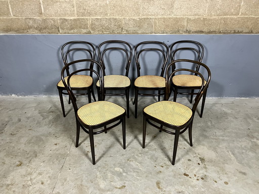 6x Thonet 214 stoelen