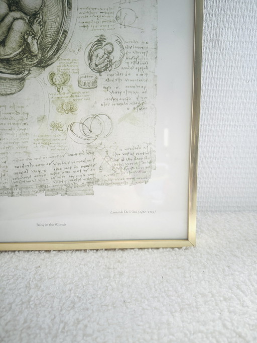 Davinci ‘Baby In The Womb’ Ingelijste Print 