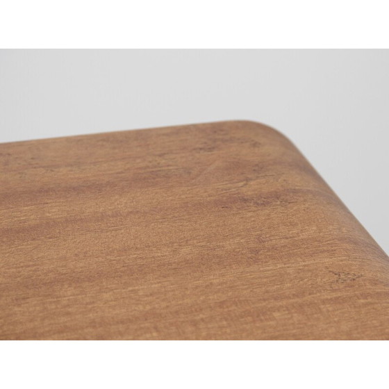 Image 1 of Vintage dienblad van Christian Koban, 1970