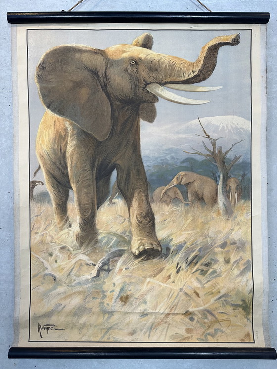 Image 1 of Vintage linnen schoolkaart - Afrikaanse olifant