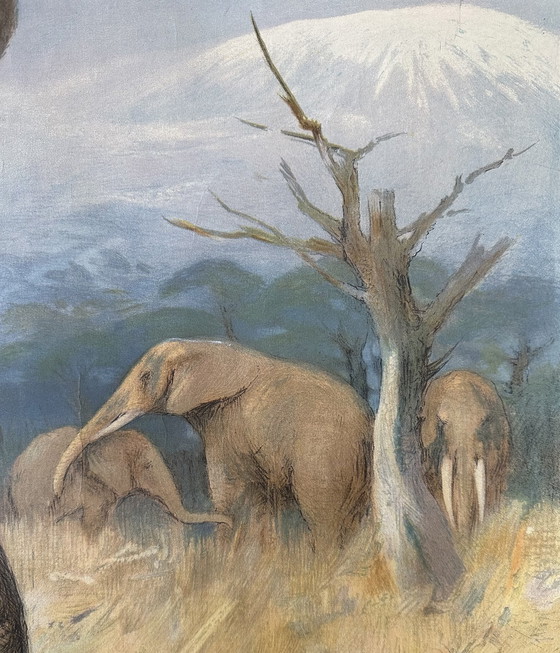 Image 1 of Vintage linnen schoolkaart - Afrikaanse olifant