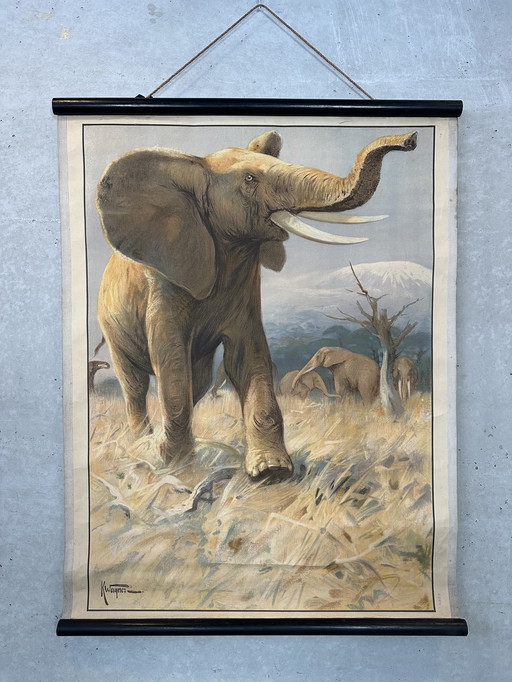 Vintage linnen schoolkaart - Afrikaanse olifant