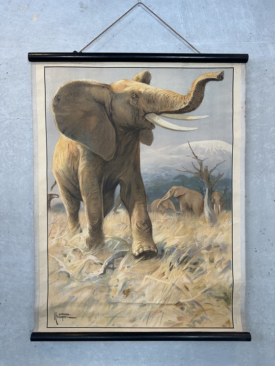 Image 1 of Vintage linnen schoolkaart - Afrikaanse olifant