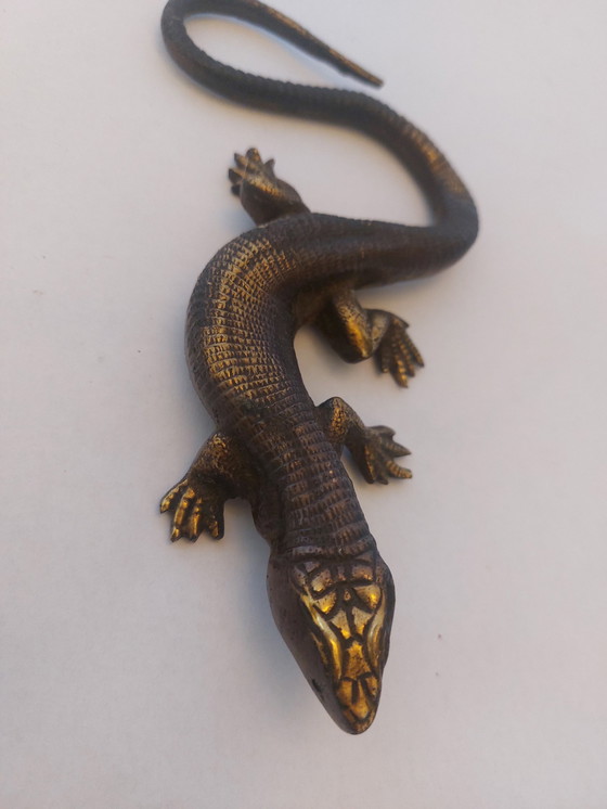 Image 1 of Messing Salamander