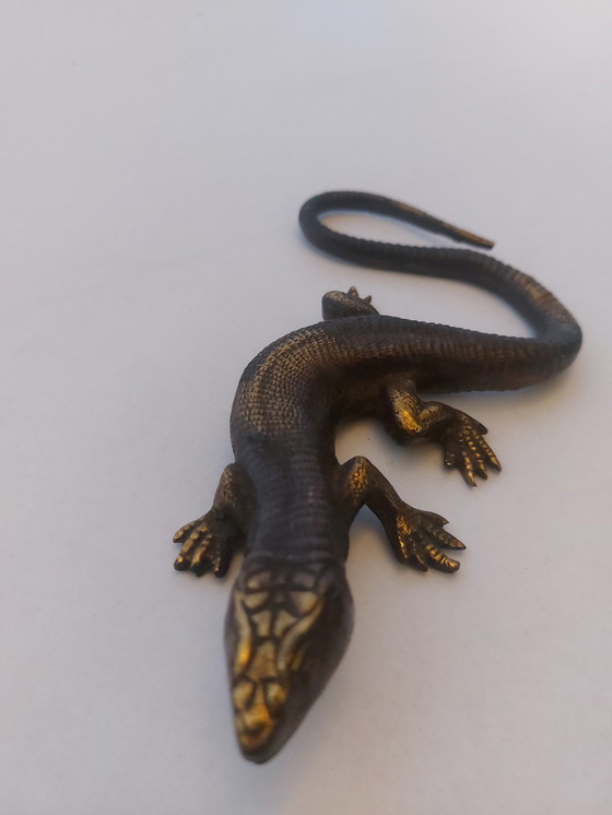 Image 1 of Messing Salamander