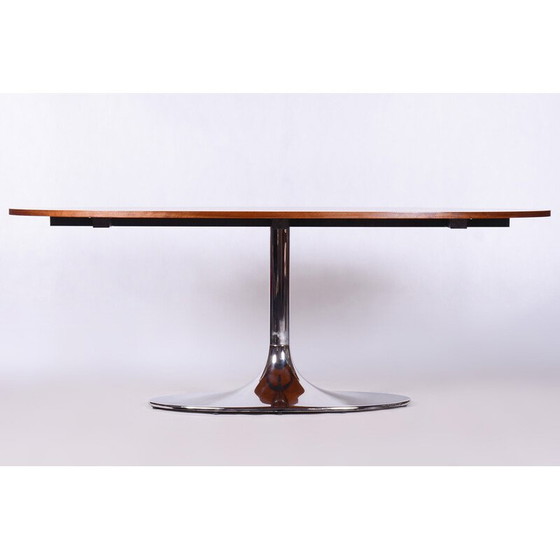 Image 1 of Vintage ovale tafel van Kovona, Tsjechië 1960