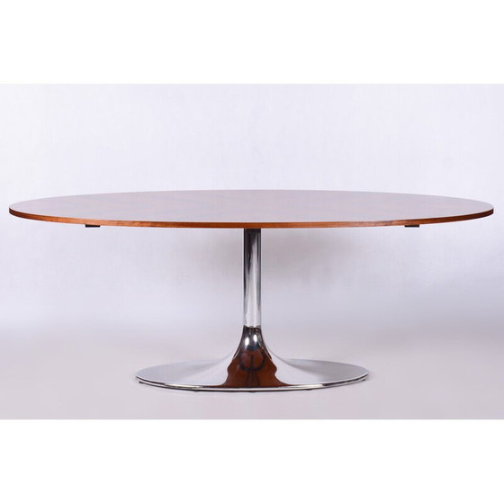 Image 1 of Vintage ovale tafel van Kovona, Tsjechië 1960