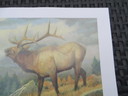 Pat McManus "Septembers Song" Eland hert litho