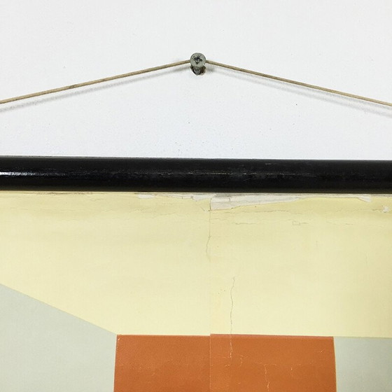 Image 1 of Vintage educatieve poster over spijsvertering door Jung-Koch Quentell, 1960